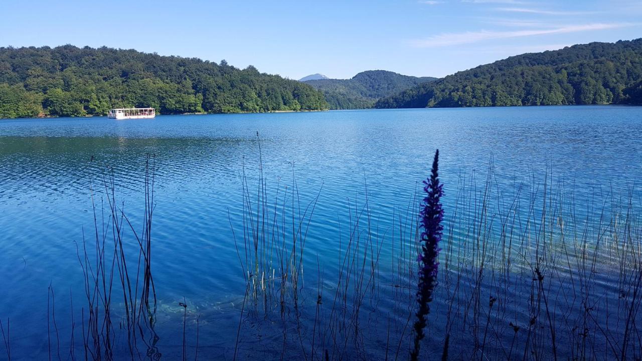 B&B Plitvice Lakes Villa Prica Plitvica selo Exteriér fotografie