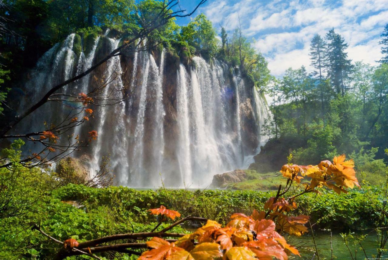 B&B Plitvice Lakes Villa Prica Plitvica selo Exteriér fotografie
