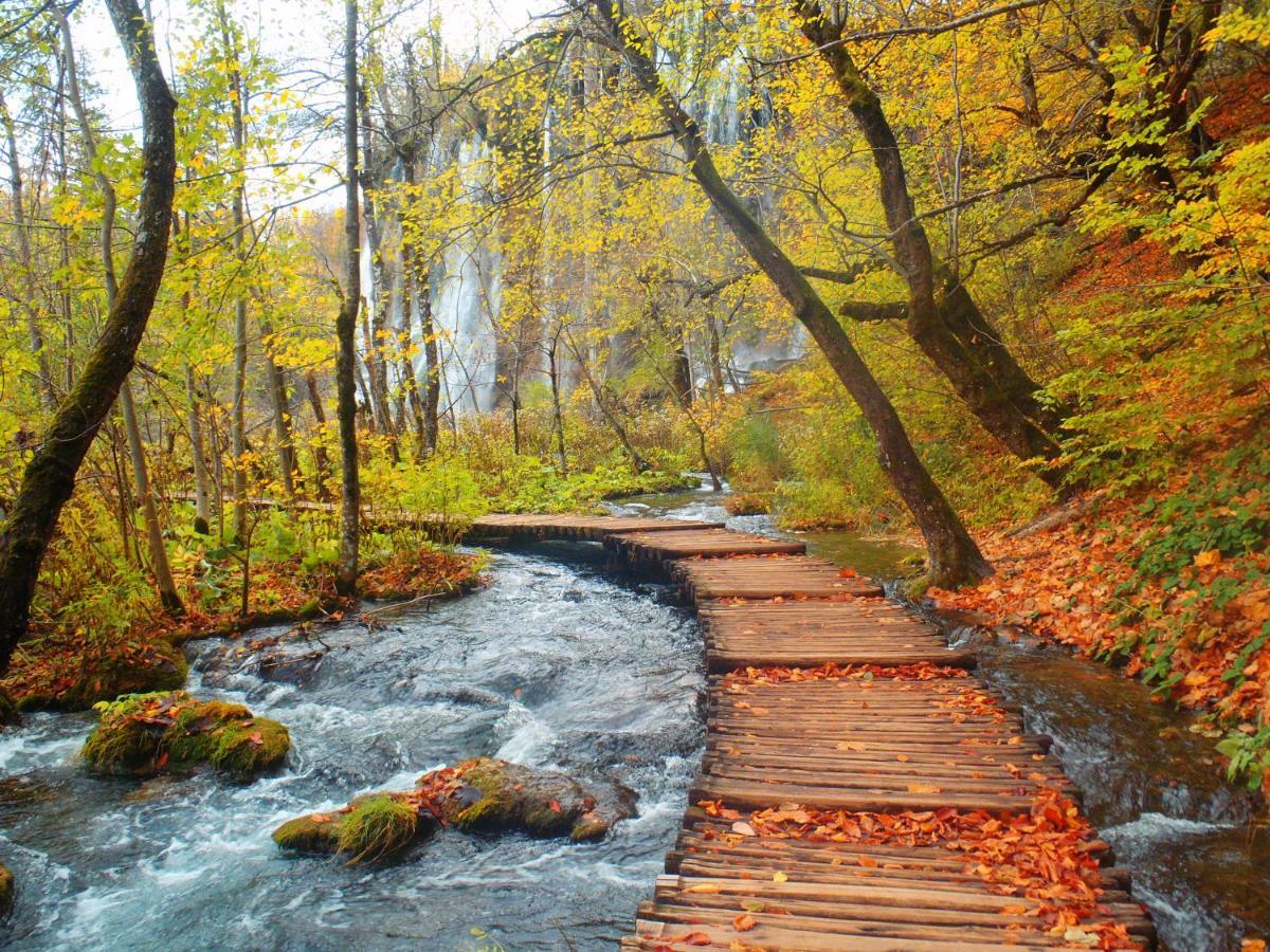 B&B Plitvice Lakes Villa Prica Plitvica selo Exteriér fotografie